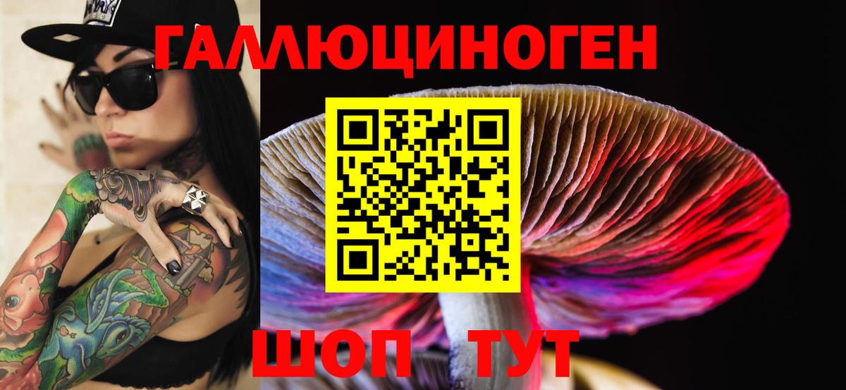 Псилоцибиновые грибы MAGIC MUSHROOMS  Вход с VPN  Ялта 